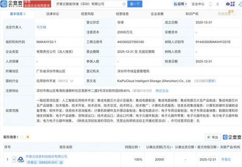 開(kāi)普云斥資2億元成立智能存儲(chǔ)公司，戰(zhàn)略布局AI與軟件開(kāi)發(fā)新賽道